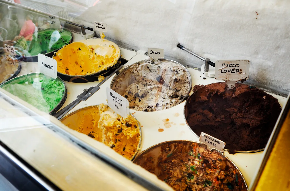Sweet Freeze (Jaipur)